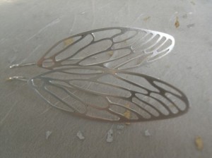 wings-cicada