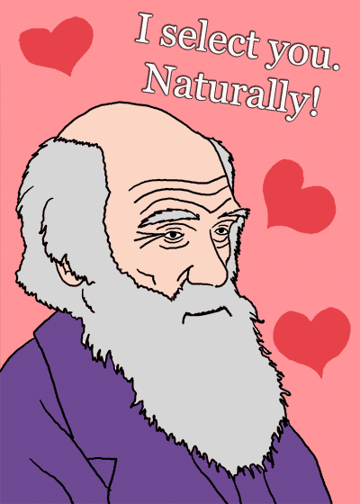 Funny Valentines Day Desktop Wallpaper. my valentine wallpaper