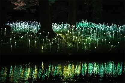 Field of light bruce munro copy