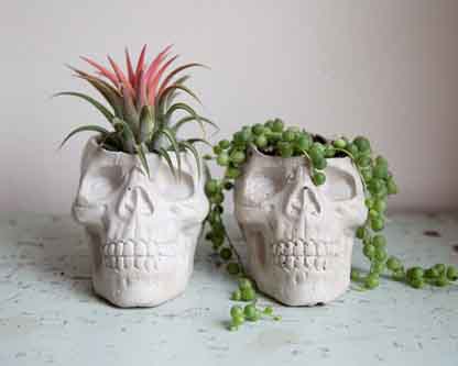 Skull Planter Brooklyn Global