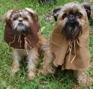 ewok