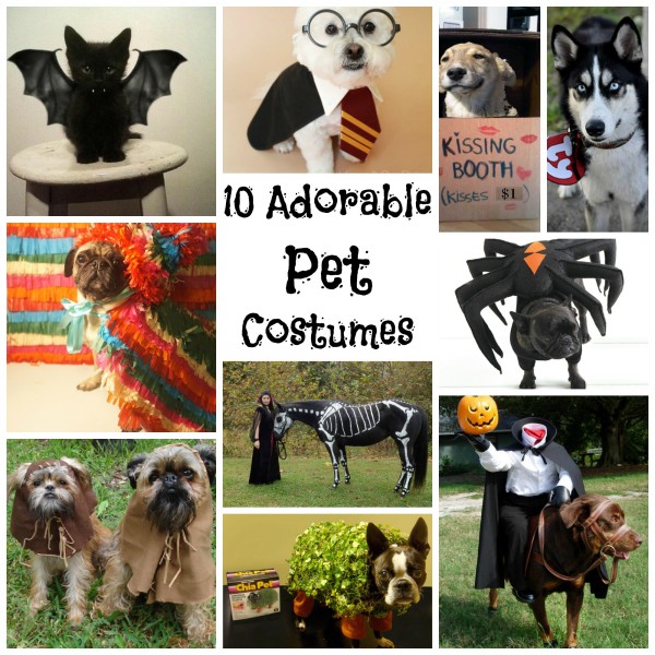 petcostumes