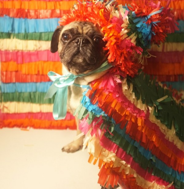 pinata